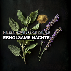 Deine personalisierte Mischung für den Tag & Abend (113-12005-A)